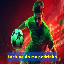 fortuna do mc pedrinho